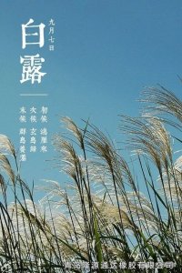<b>露從今夜白，夜自此日涼！</b>